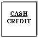 Text Box: CASH 
CREDIT
